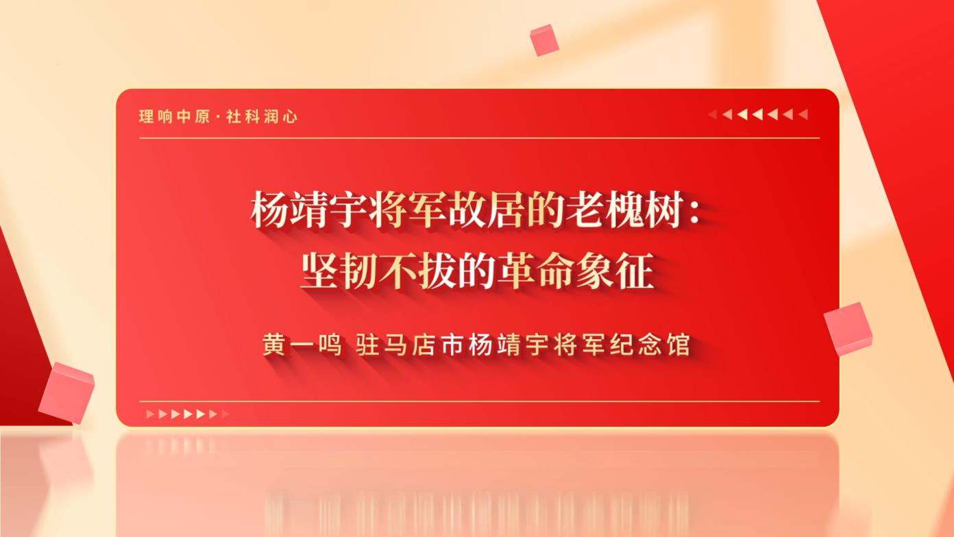 老槐树.jpg